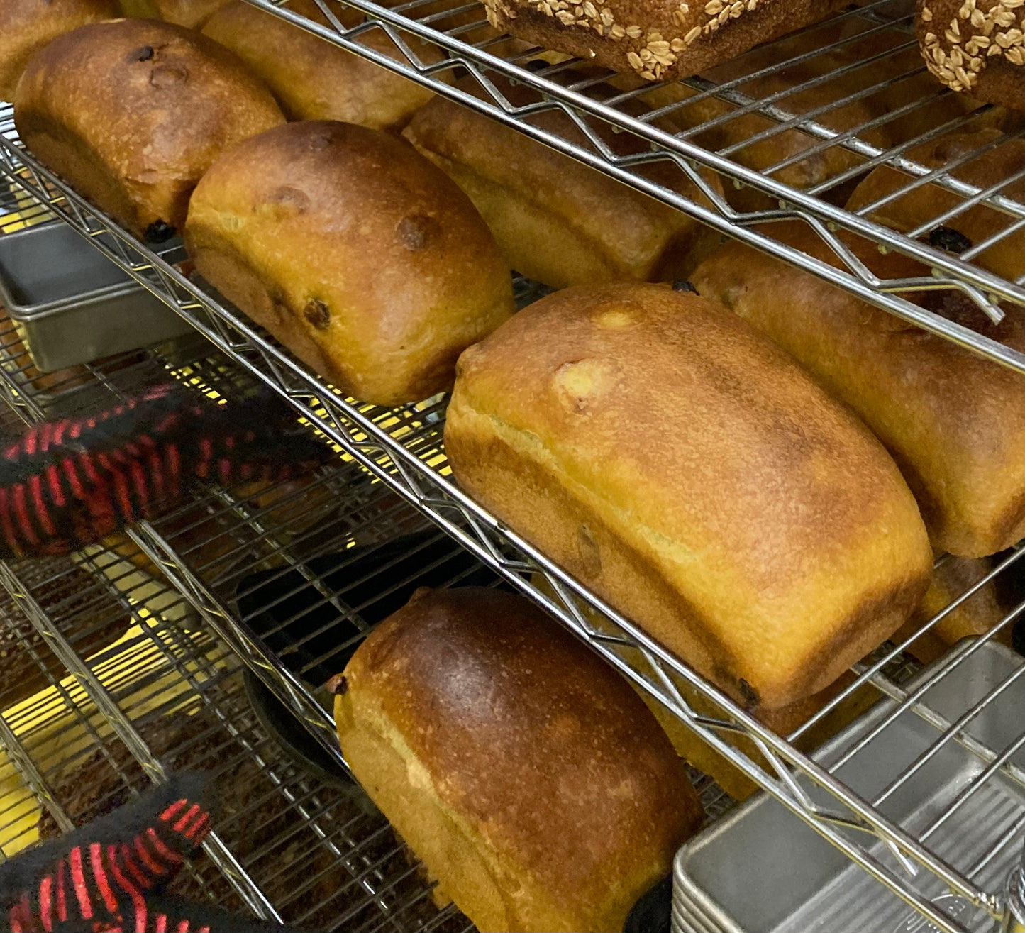 Pumpkin raisin sourdough