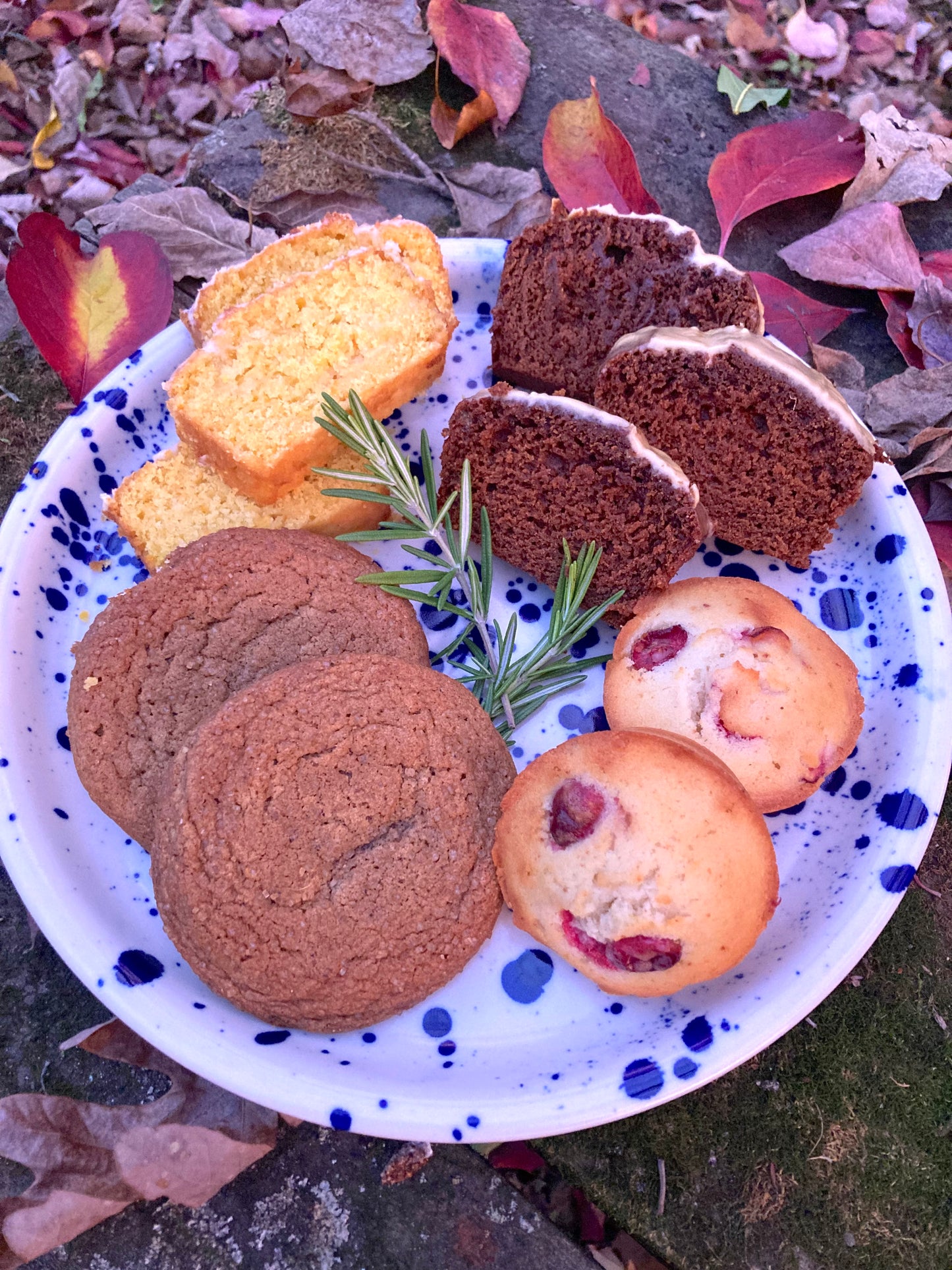 Thanksgiving treat box (ginger cookies, cranberry financiers & your choice of cake)