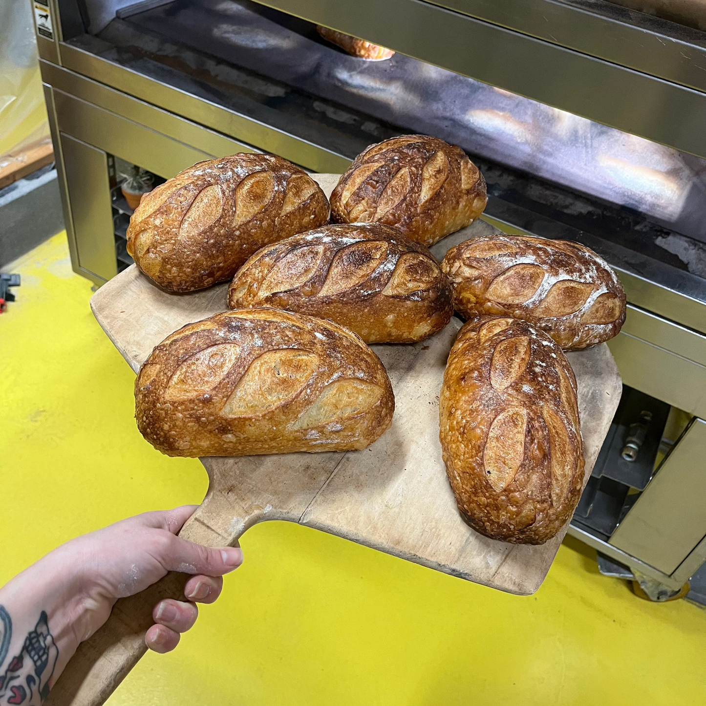 Subscription sourdough